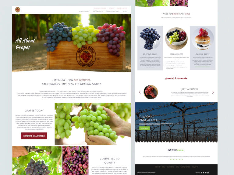 All about grapes clone